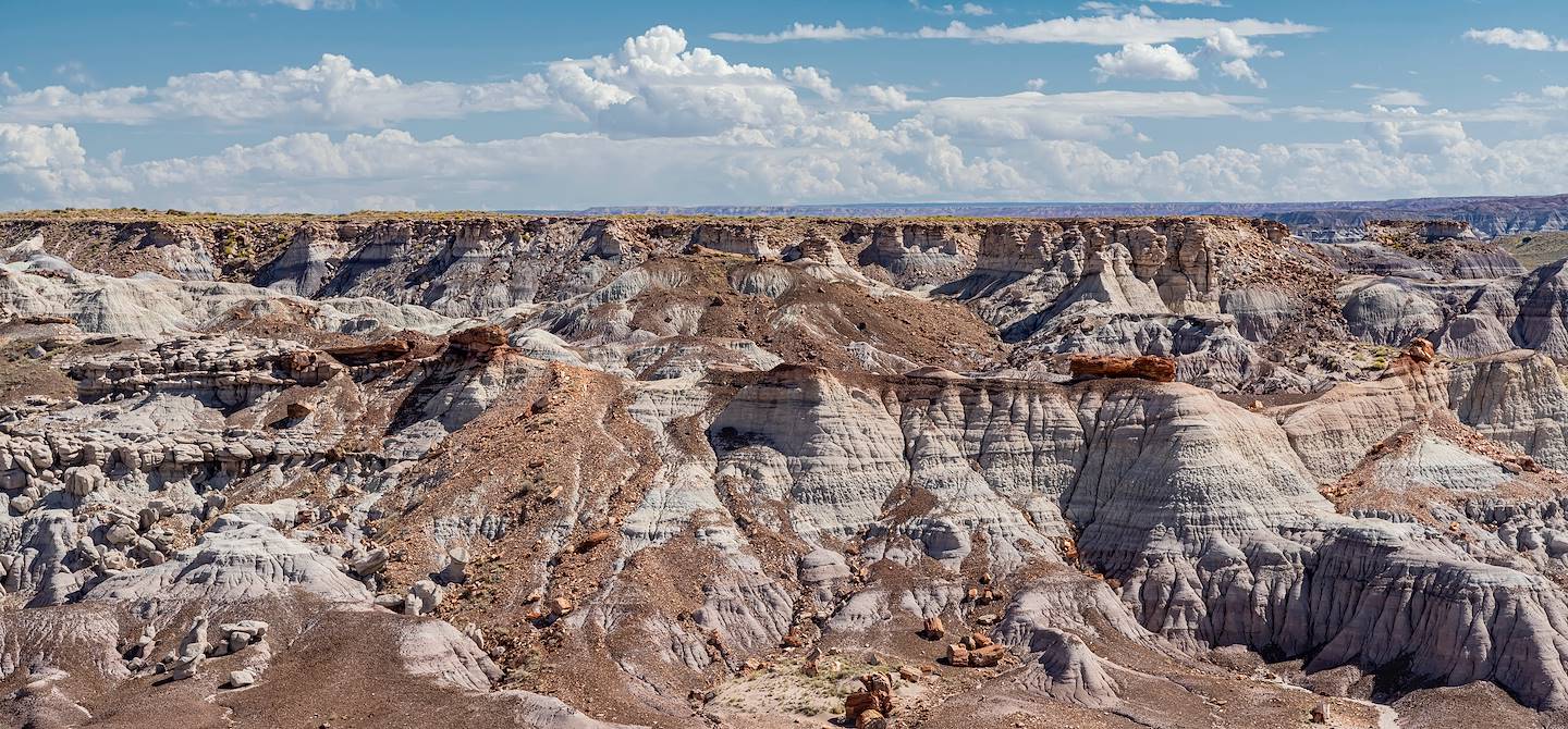 Petrified Forest National Park - Arizona - Etats-Unis
