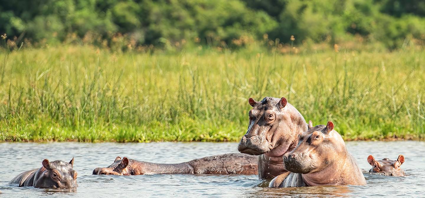 Parc national du Liwonde - Malawi