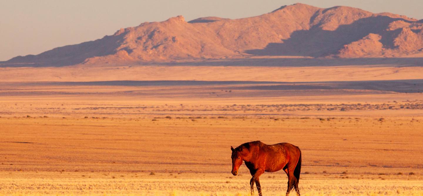 Coucher de soleil sur le parc  Gondwana Sperrgebiet Rand - Aus - Namibie