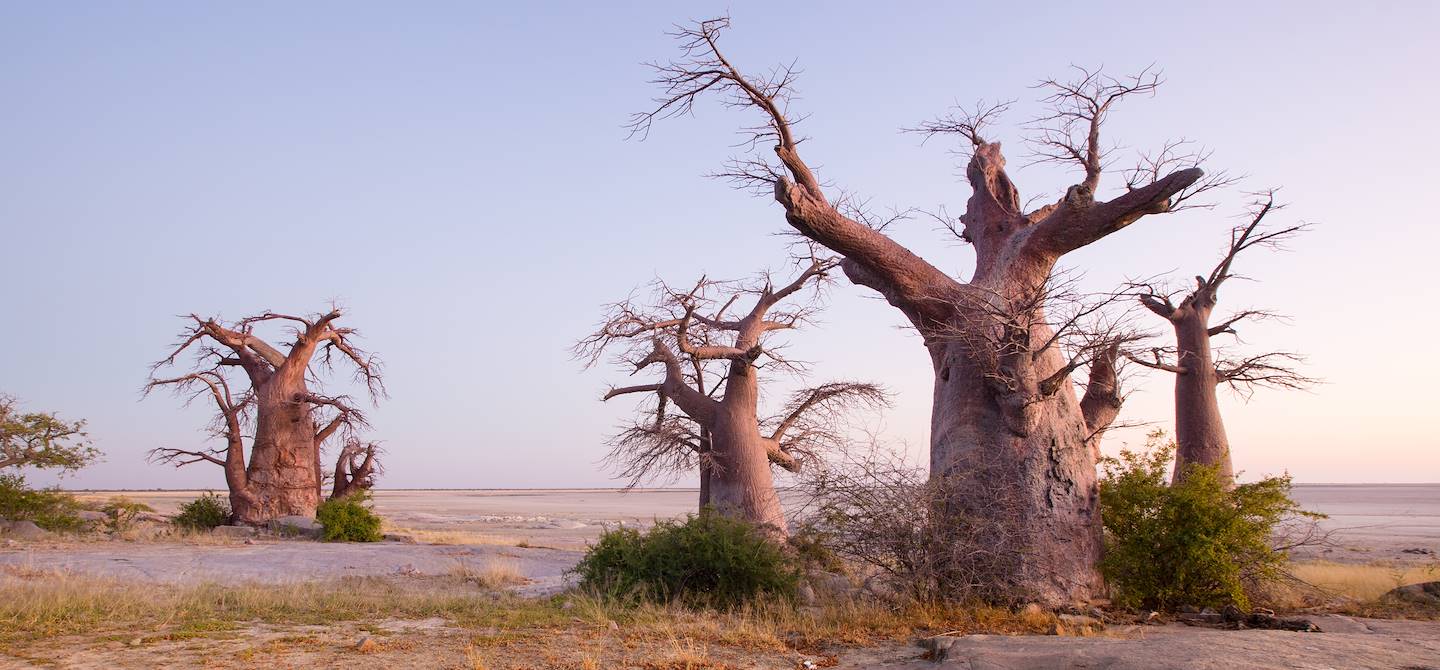 Lever de soleil sur les pans de de Makgadikgadi - Botswana