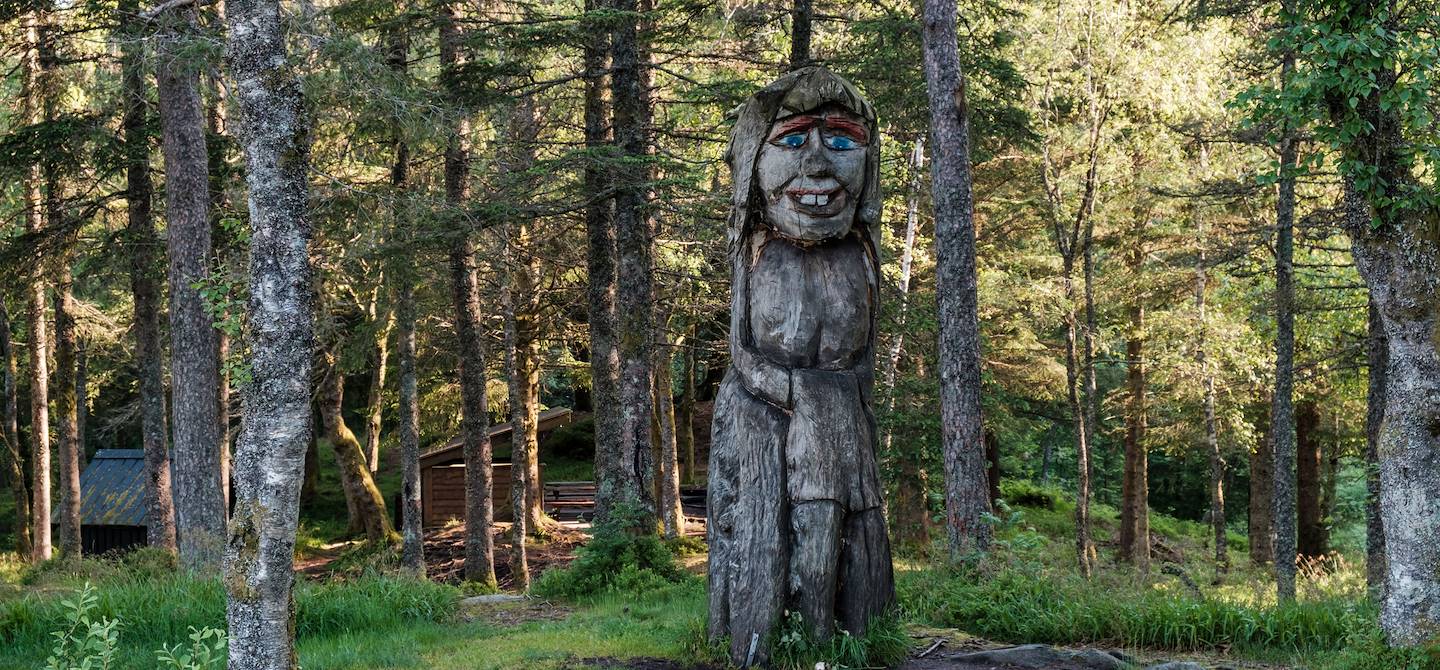 Troll dans la forêt autour du Mont Floyen - Bergen - Norvège