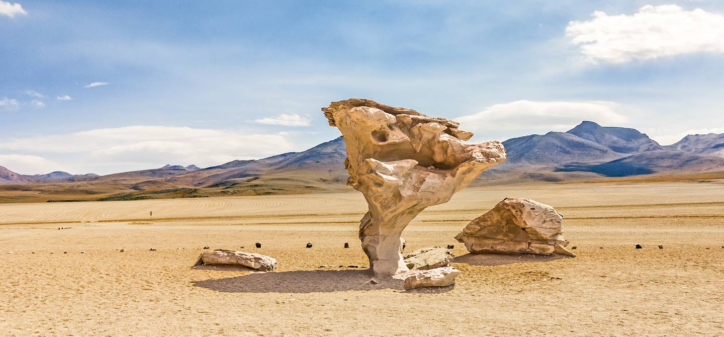 Arbre de pierre crée par le vent dans le désert de Siloli - Département de Potosi - Bolivie