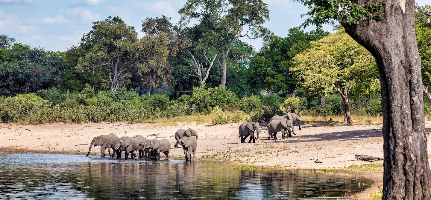 Mudumu National Park - Namibie