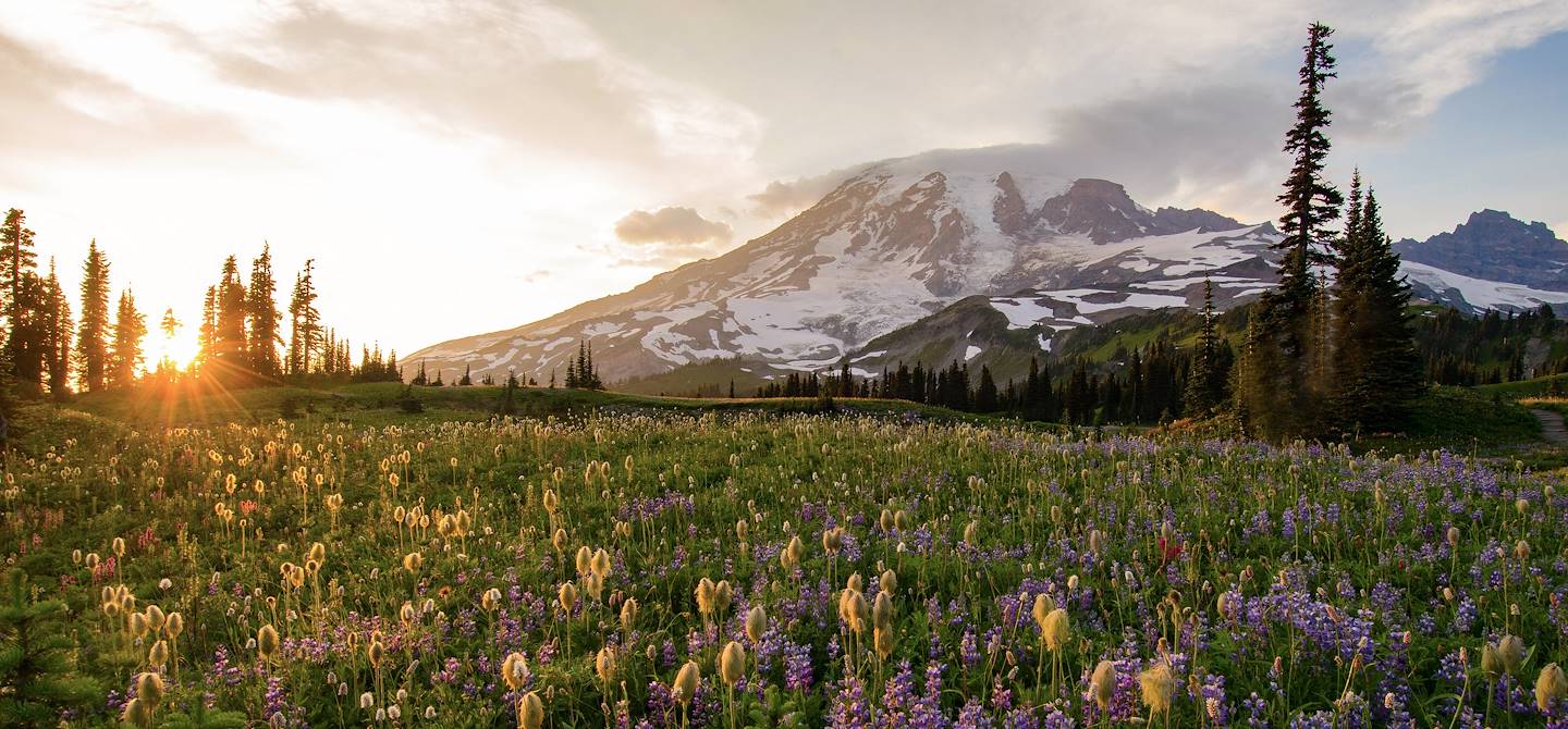 Parc national du Mont Rainier - Washington - Etats-Unis
