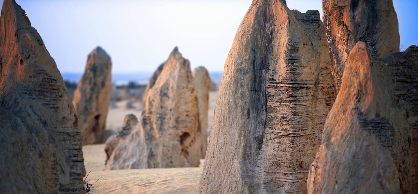 Le désert des Pinnacles - Australie
