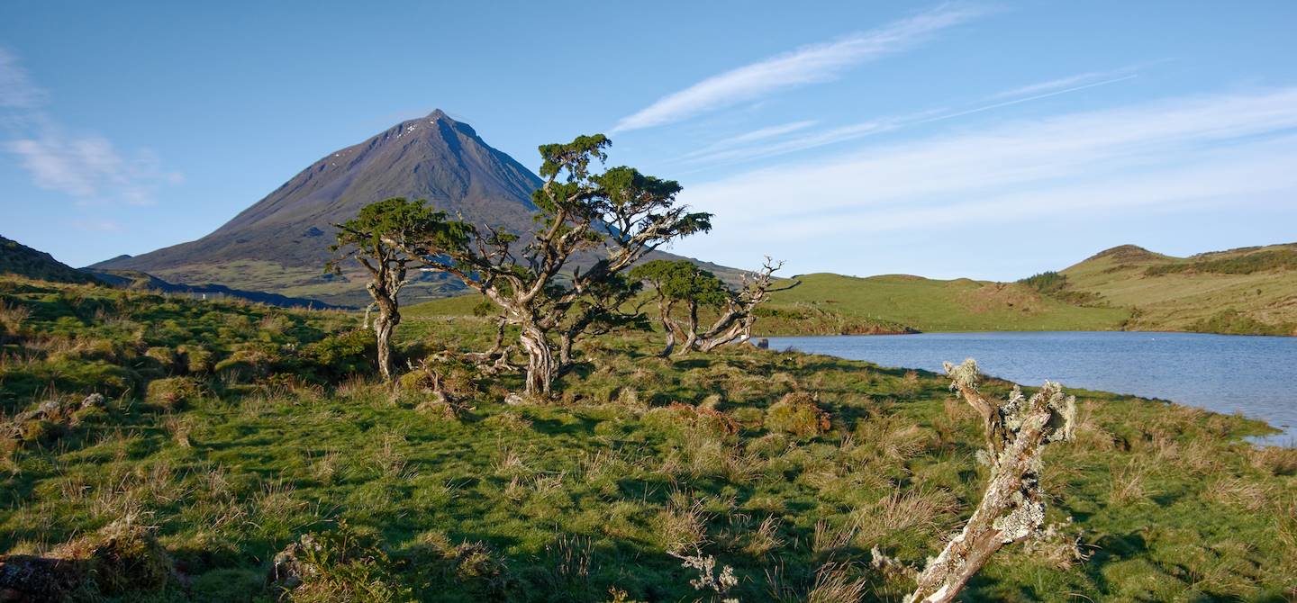 Volcan Pico - Açores - Portugal 