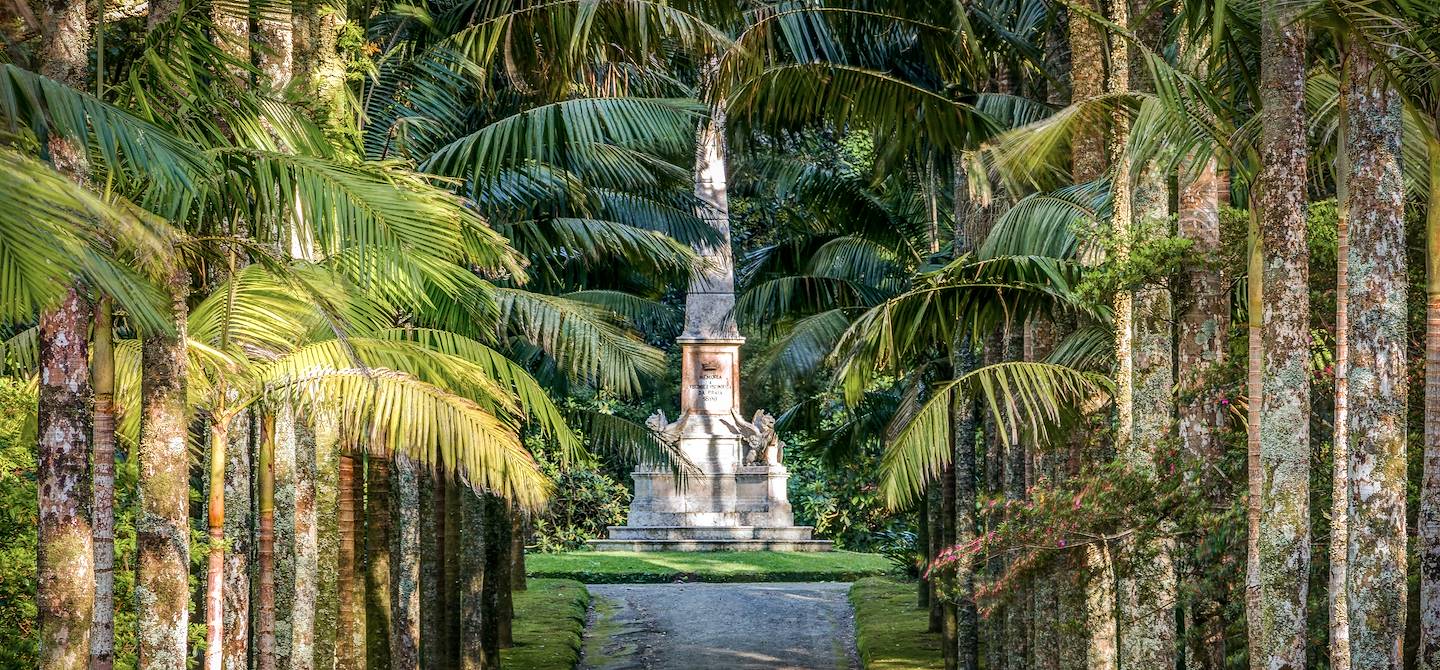 Parque Terra Nostra - Ile de Sao Miguel - Açores - Portugal 