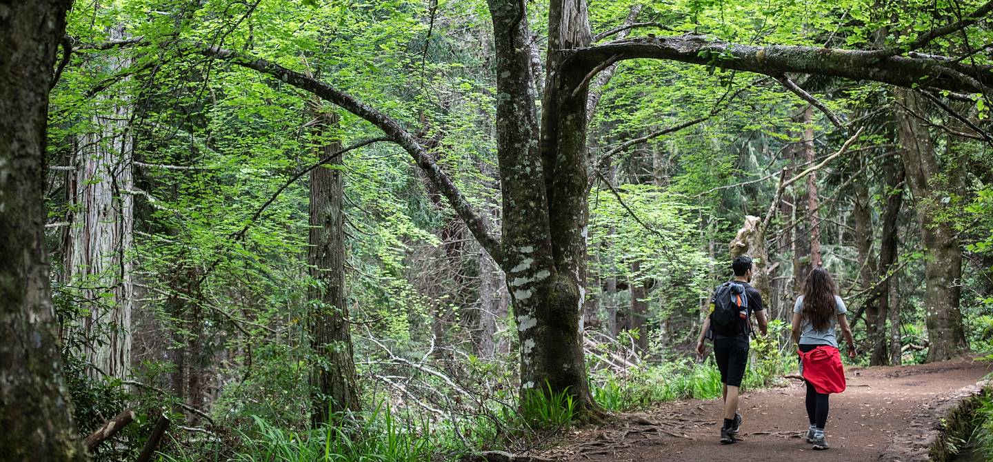 Randonnée sur le sentier Levada do Caldeirao Verde, au coeur de la forêt Laurissilva - Madère - Portugal