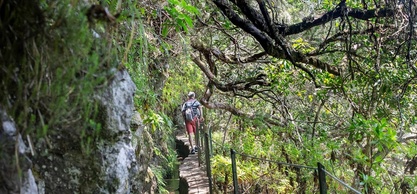 Randonnée sur le sentier Levada do Caldeirao Verde, au coeur de la forêt Laurissilva - Madère - Portugal