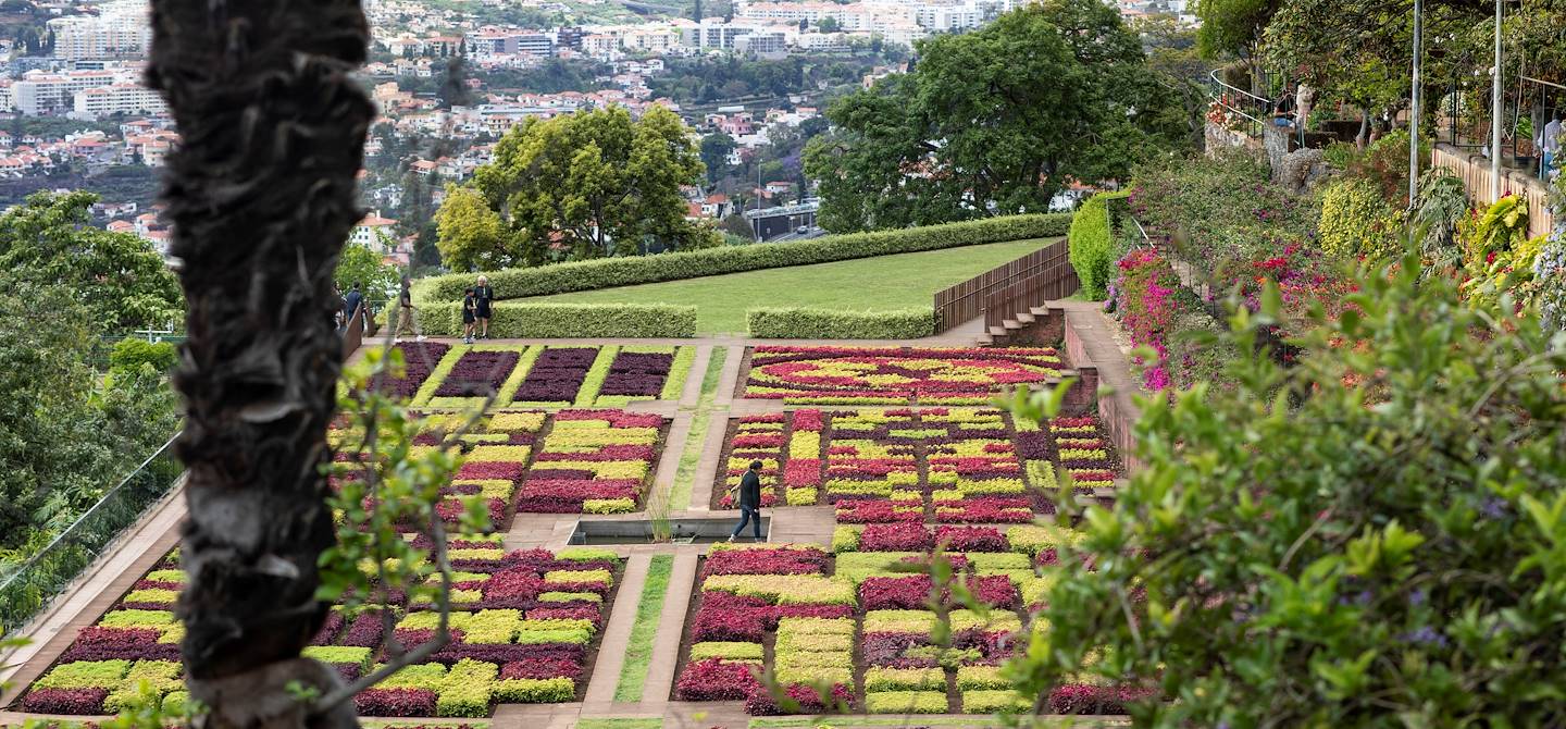 Jardin botanique de Monte - Funchal - Madère - Portugal