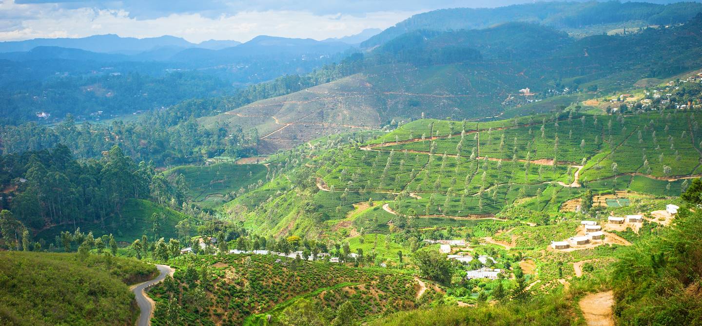 Haputale - Province de l'Uva - Sri Lanka