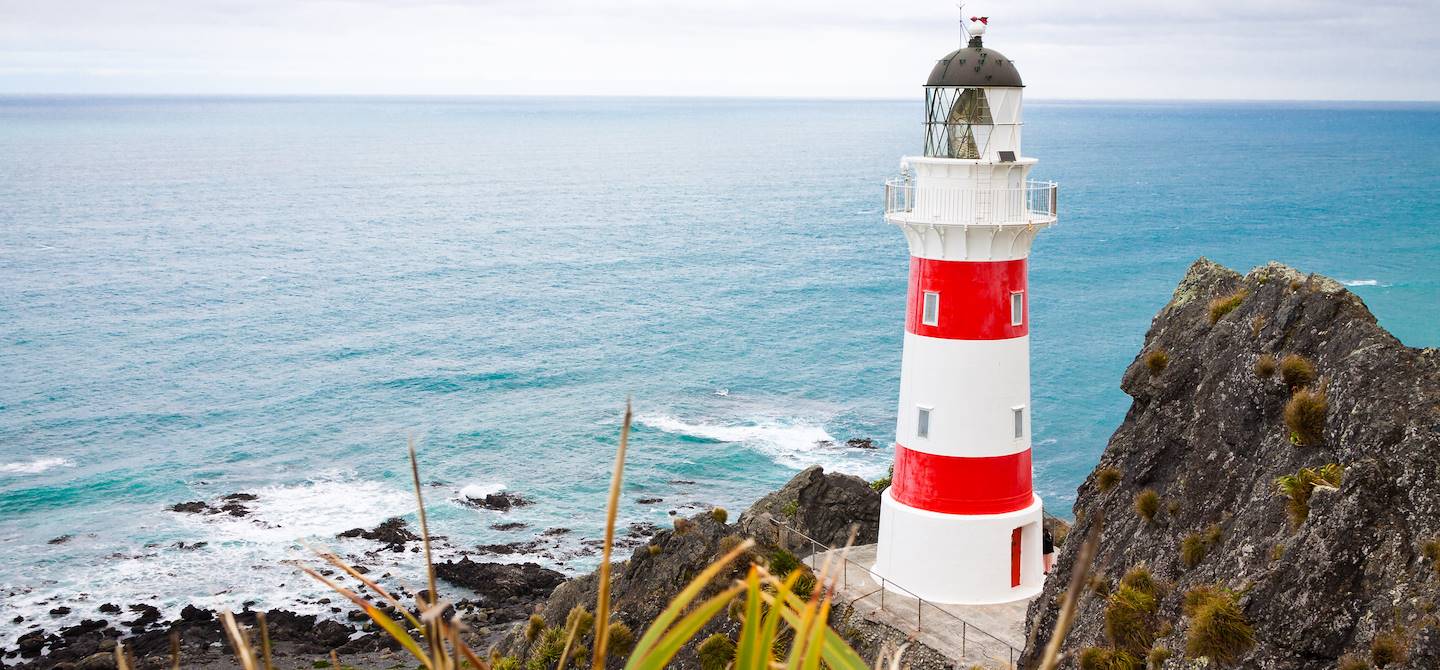 Cape Palliser - Ile du Nord  - Nouvelle Zélande