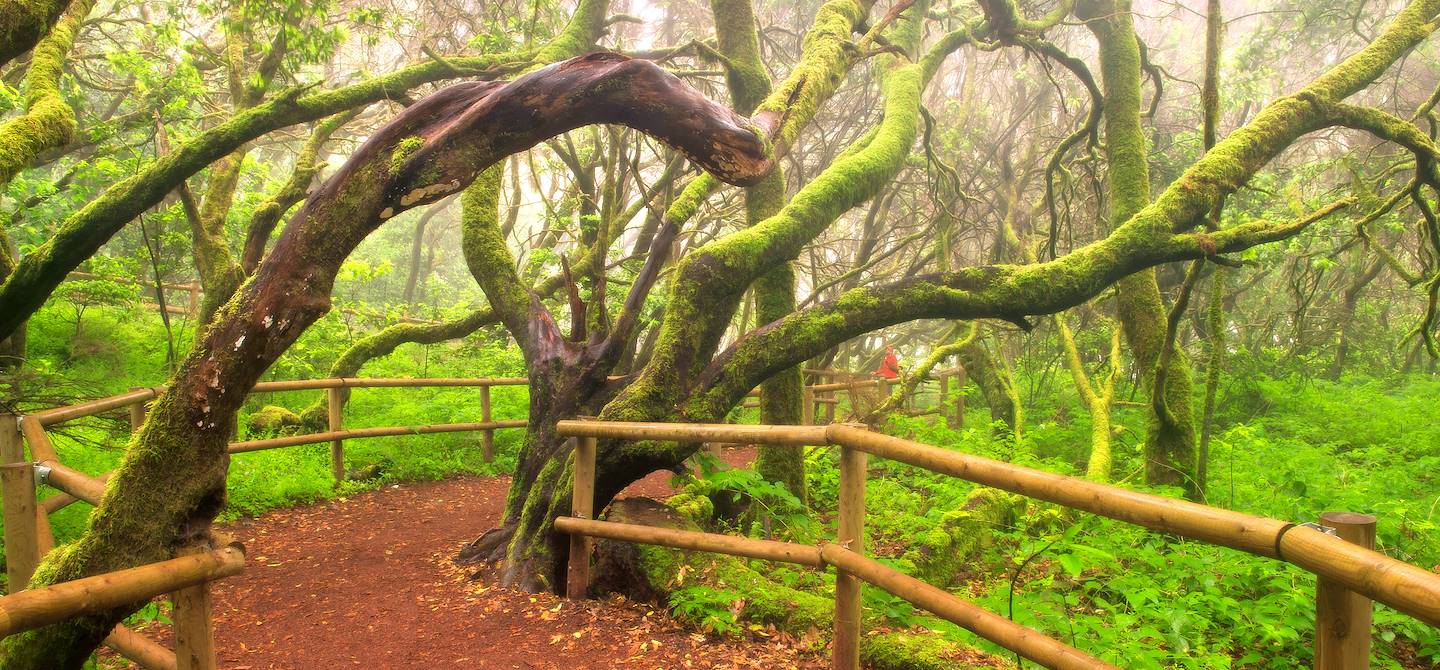 La Gomera - Canaries - Espagne