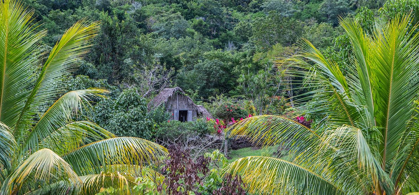 Savane des Esclaves - Les Trois Ilets - Martinique