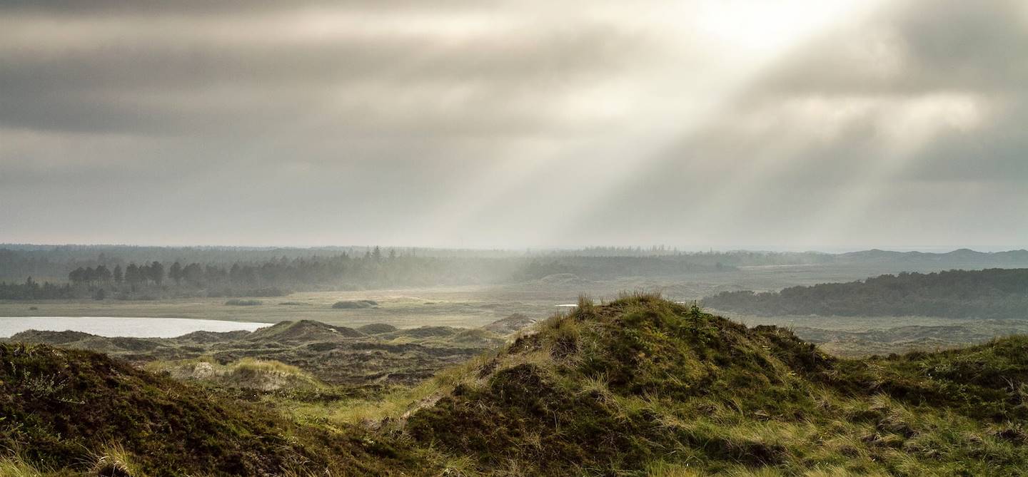 Parc National de Thy - Jutland - Danemark