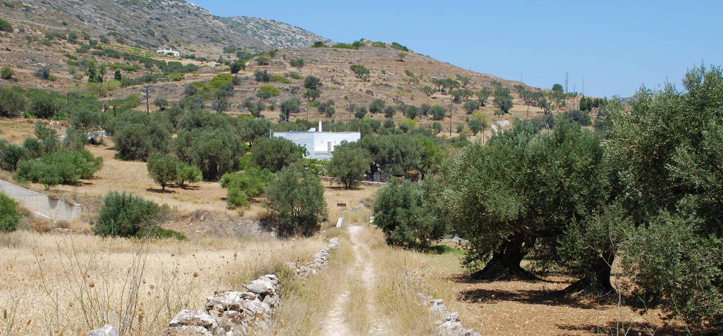 Paros - Les Cyclades - Grèce