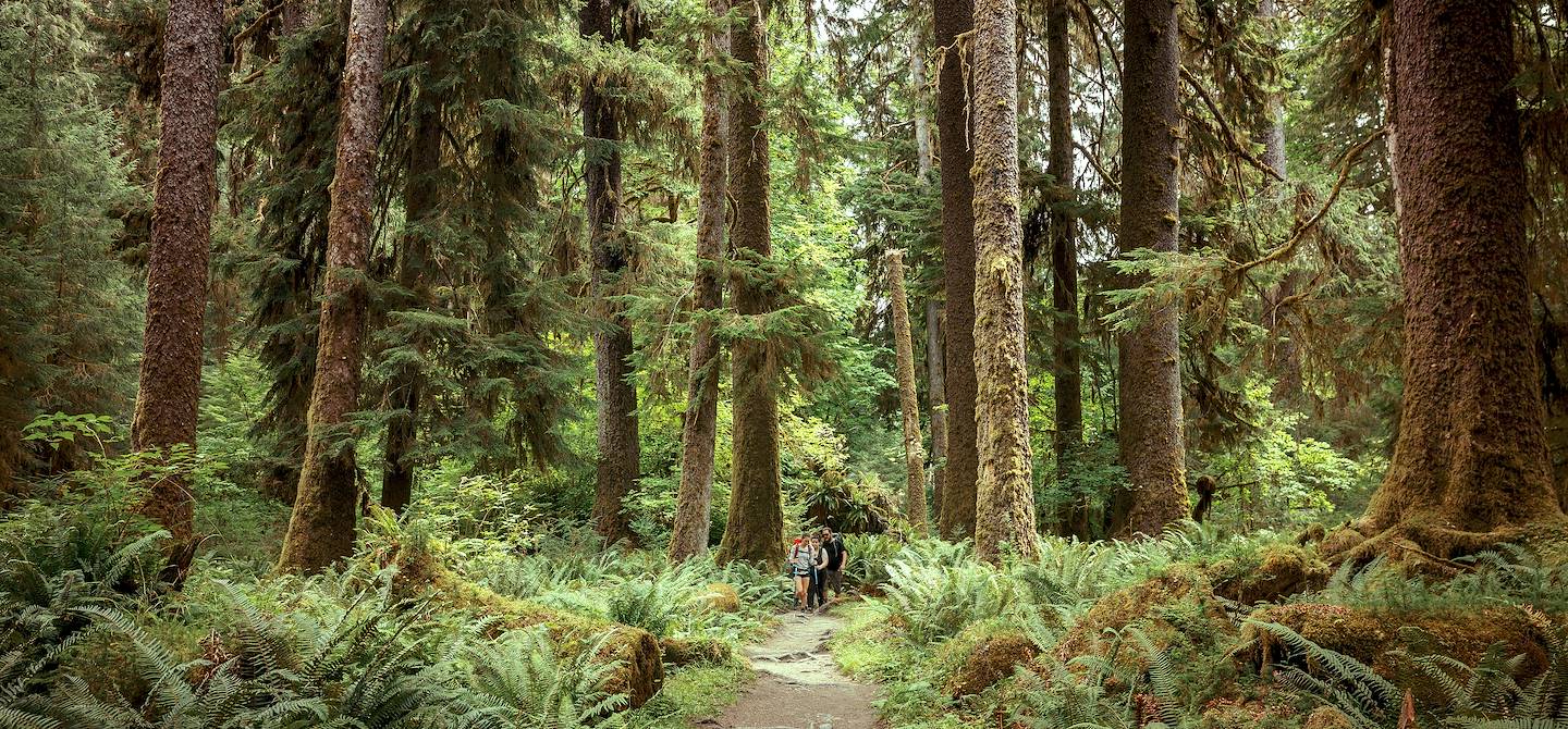 Olympic National Park - Washington - Etats-Unis