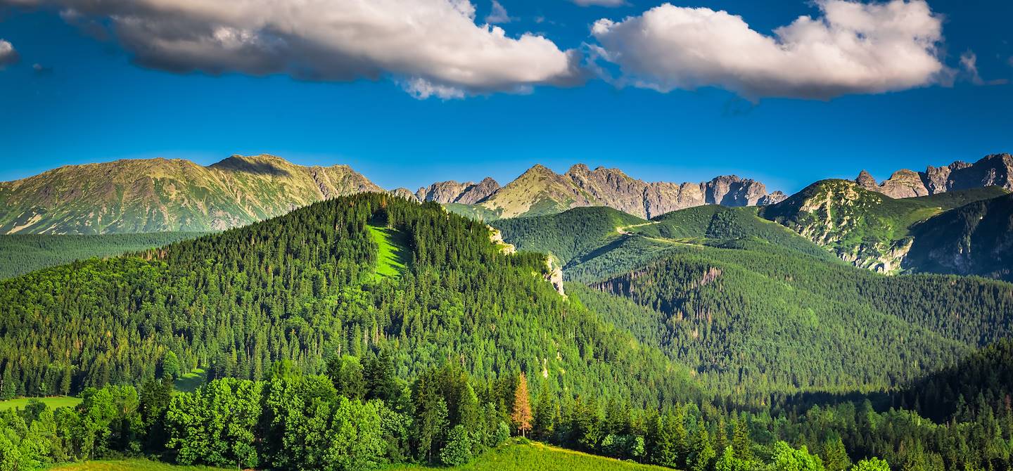 La chaîne des Tatras - Zakopane - Pologne