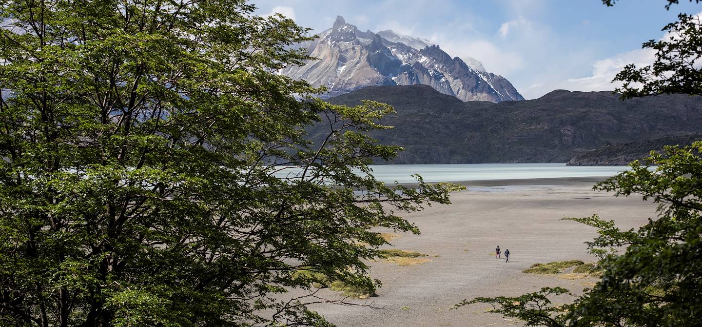 Lac Grey - Parc National Torres del Paine - Patagonie - Chili