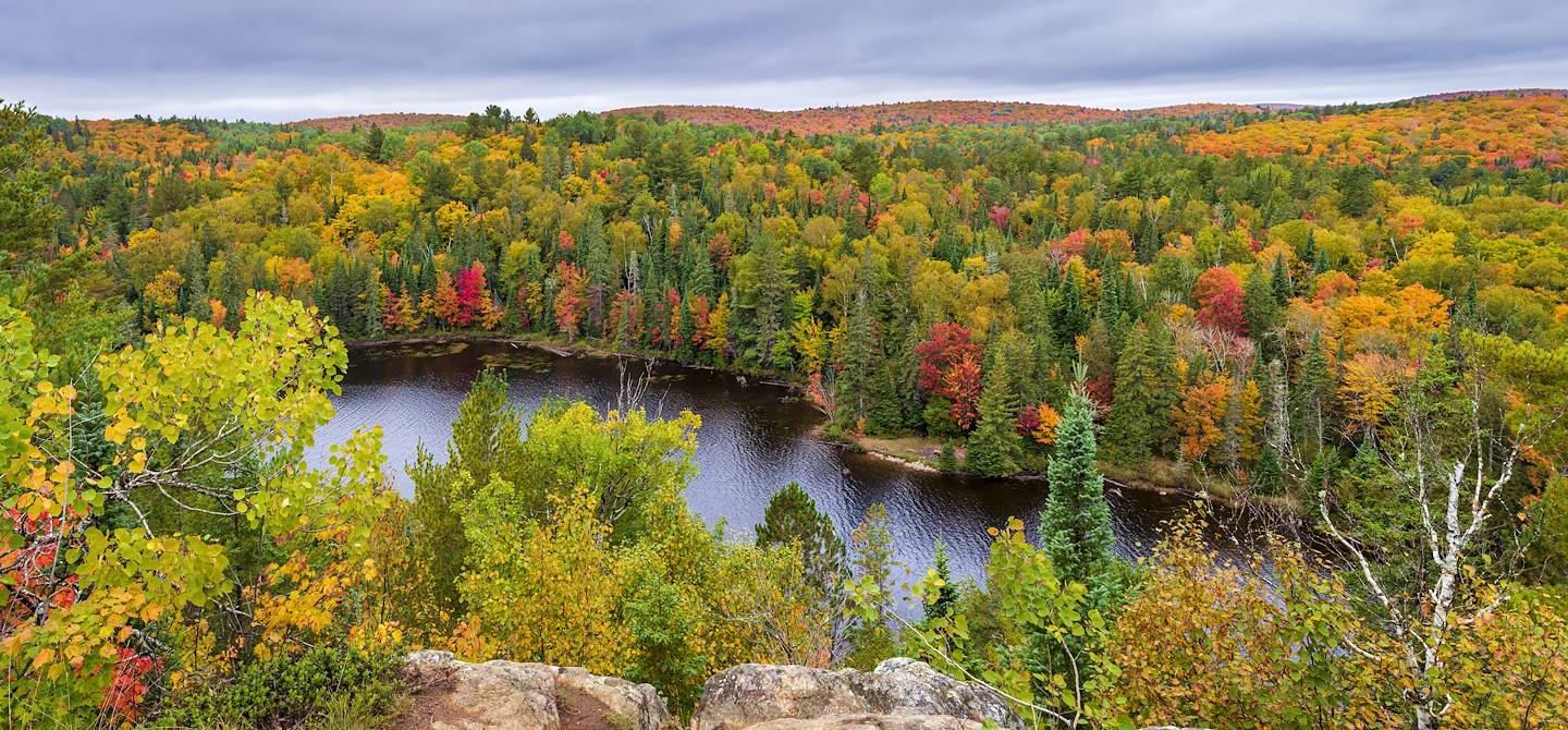 Parc provincial Algonquin - Ontario - Canada