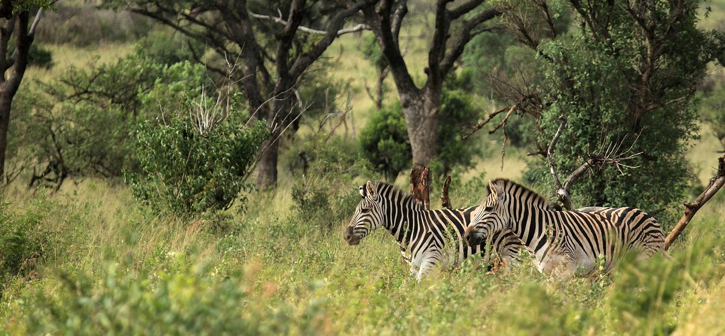 Vallée d'Ezulwini - Afrique du Sud