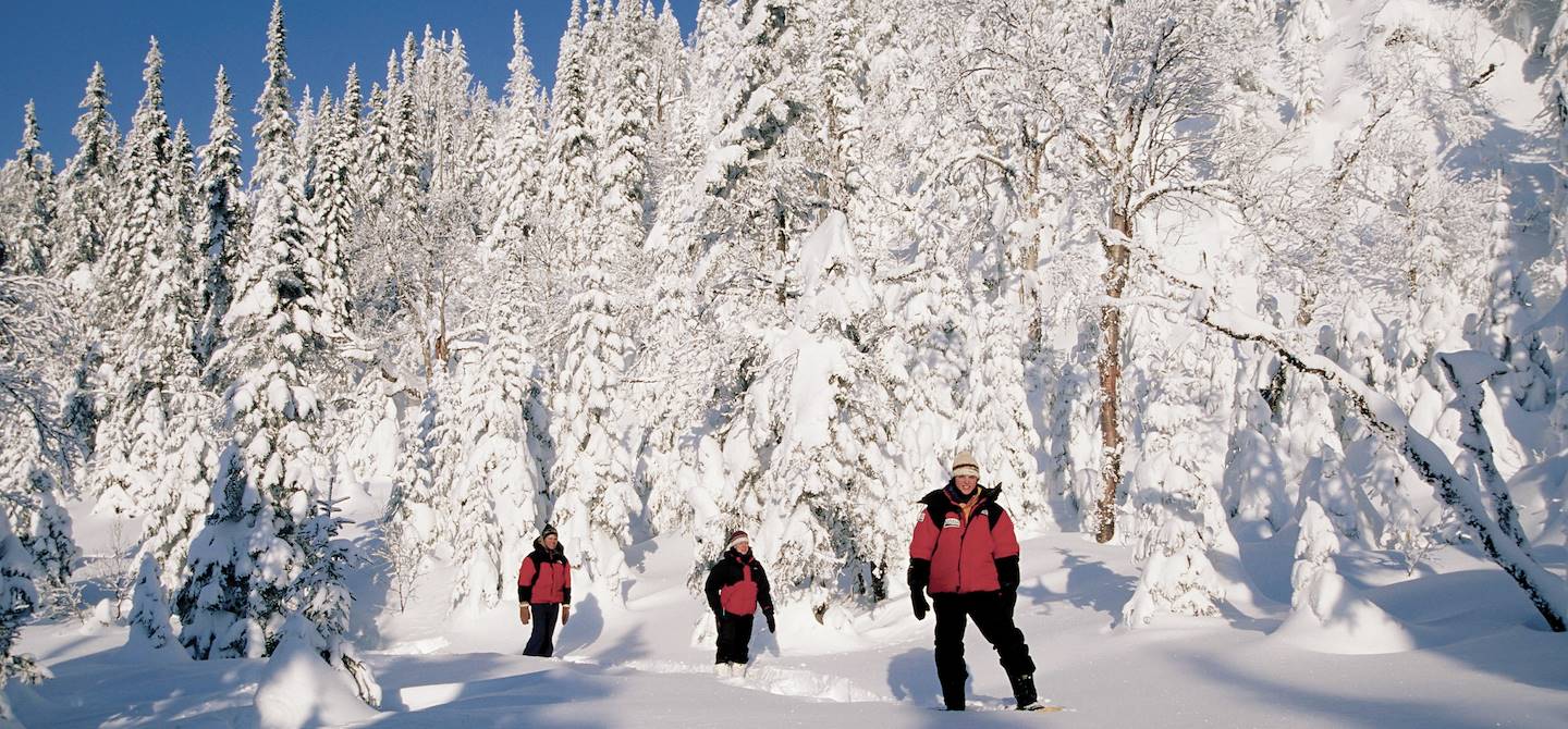 Balade en raquette - Parc national des Monts-Valin - Saguenay-Lac-Saint-Jean - Québec - Canada