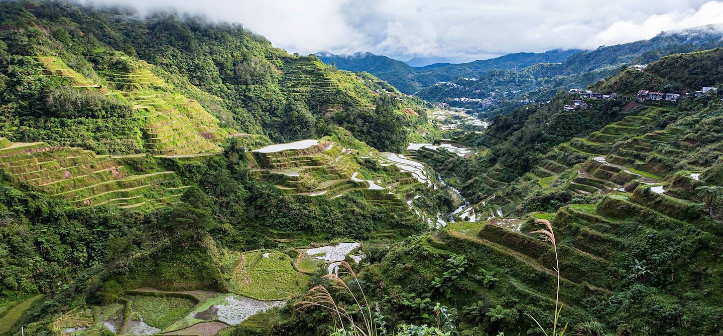Rizières de Batad - Banaue - Province d'Ifugao - Philippines