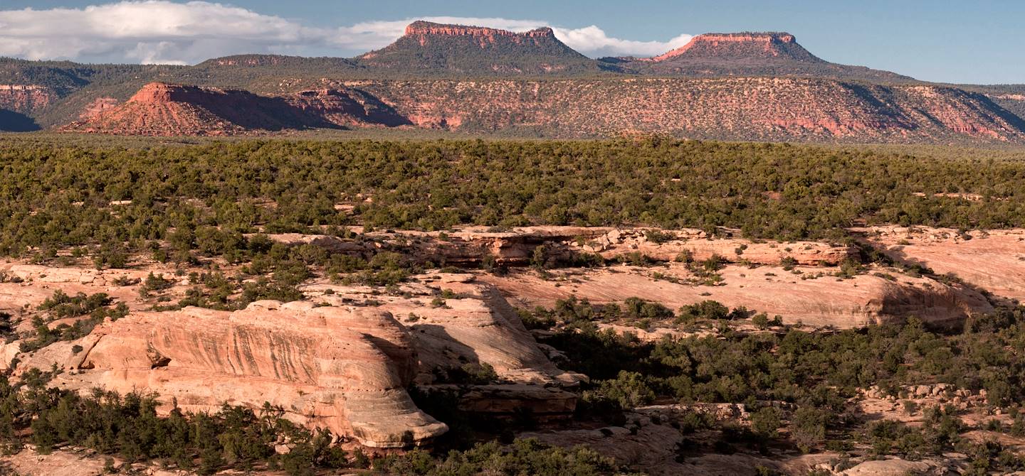 Bears Ears - Utah - Etats-Unis