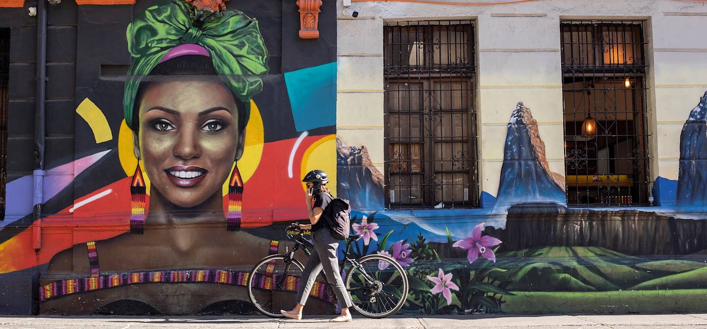 Street art dans le quartier de Bellavista - Santiago - Chili