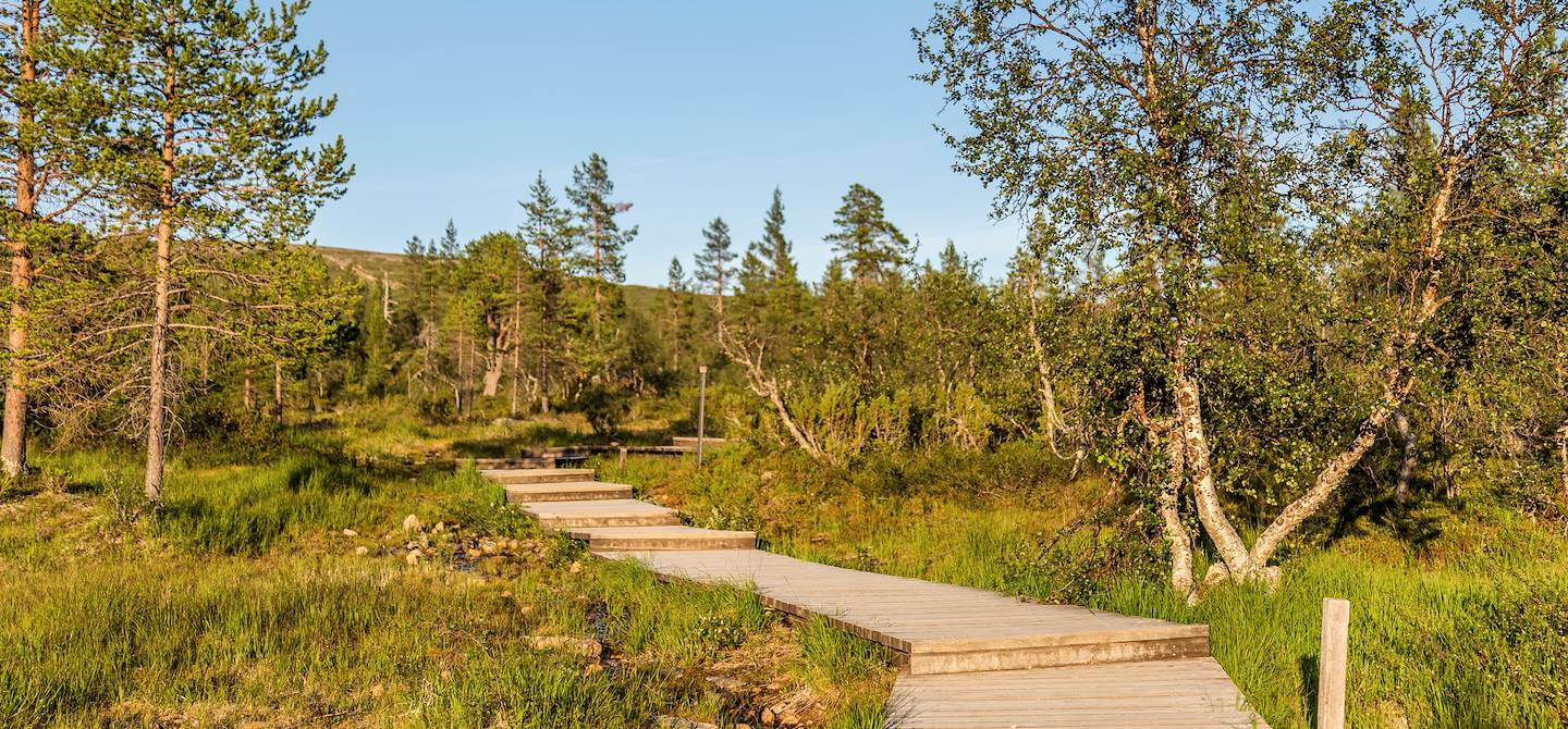 Parc national Urho Kekkonen - Laponie - Finlande