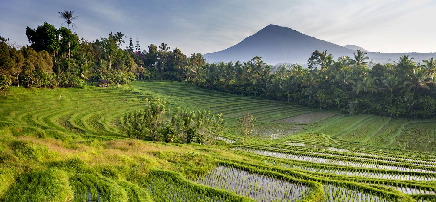 Belimbing - Bali - indonésie
