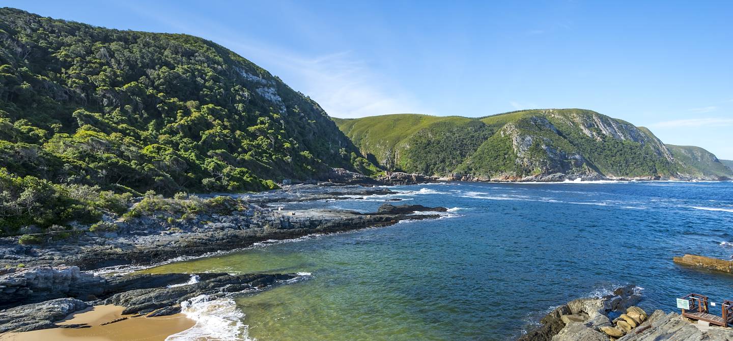 Parc national de Tsitsikamma - Afrique du Sud