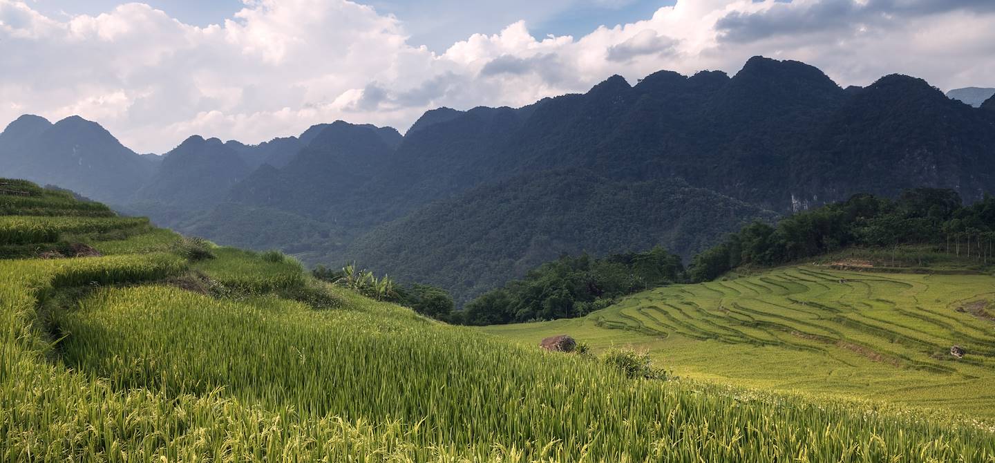 Rizières en terrasses à Pu Luong - Vietnam