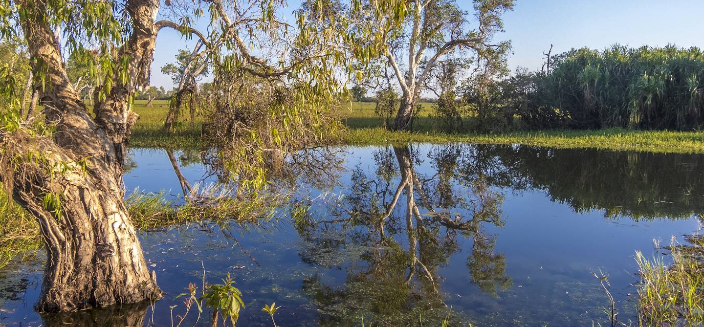 Dans les eaux calmes du parc national de Kakadu - Australie