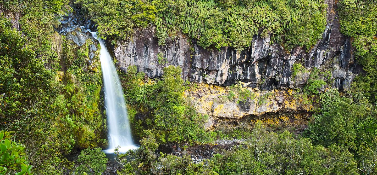 Dawson Falls - Egmont National Park - Nouvelle-Zélande