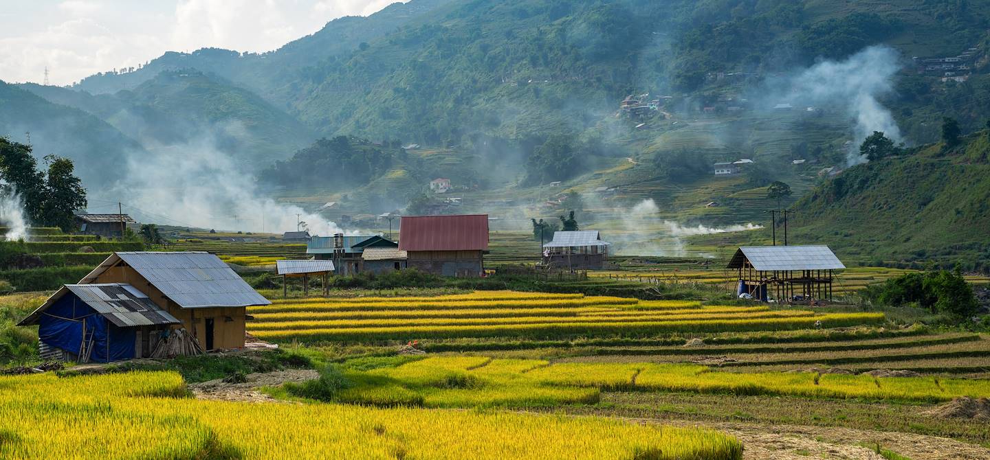 Rizières près de Sapa - Vietnam