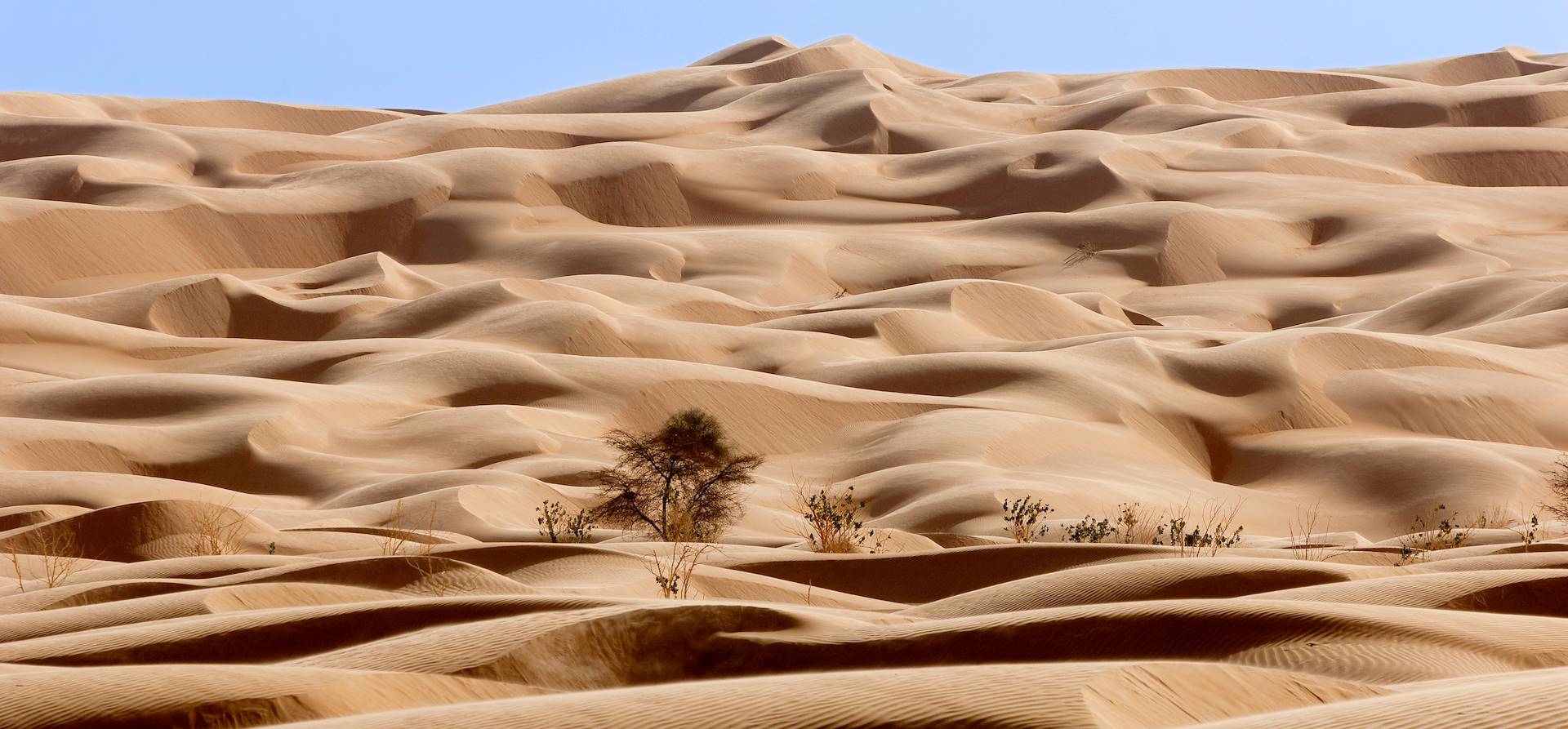 Voyage Akjoujt Mauritanie