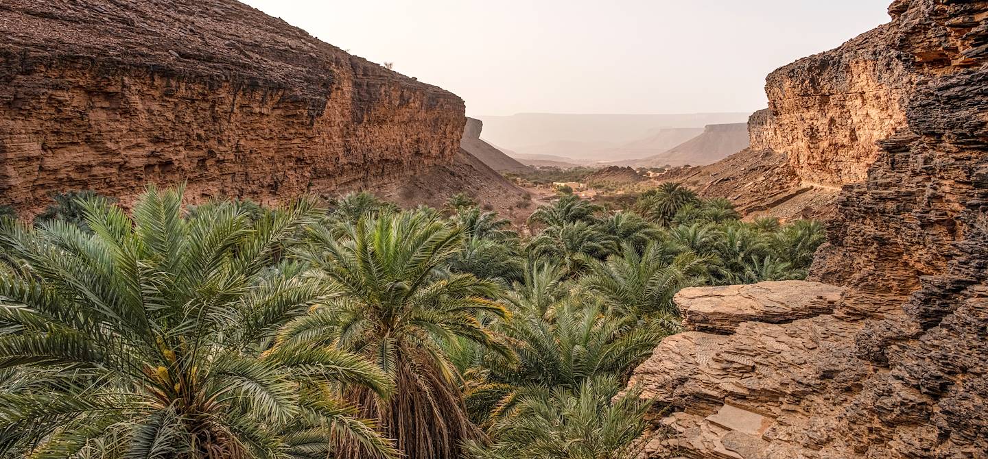 Oasis de Tergit - Région de l'Adrar - Mauritanie