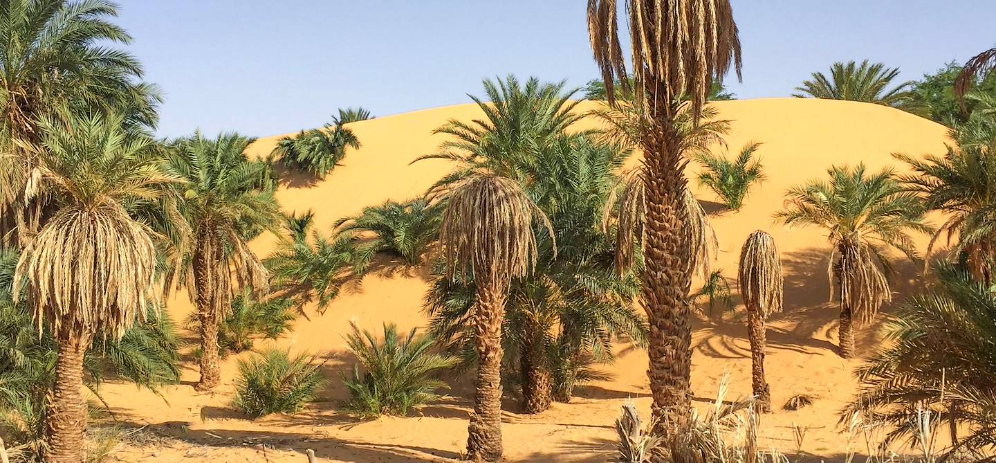 Oasis de Tanouchert - Mauritanie