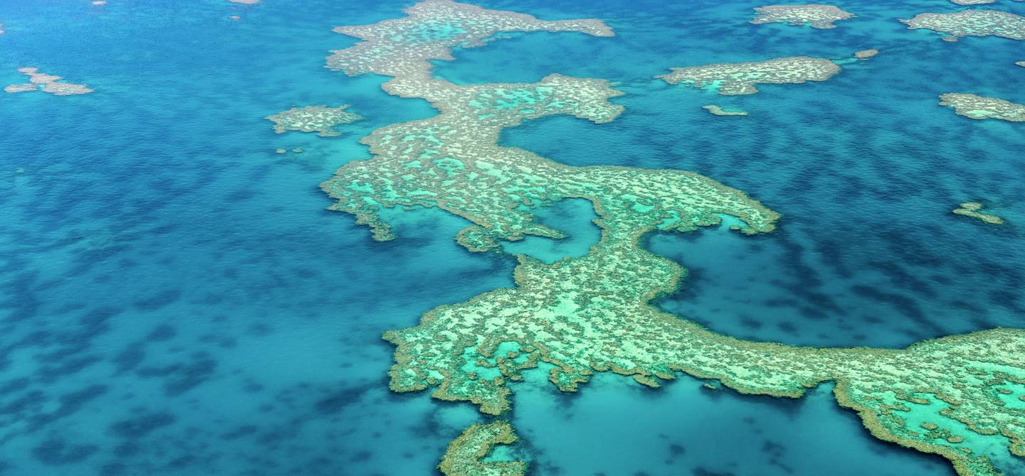 Barrière de corail - Belize