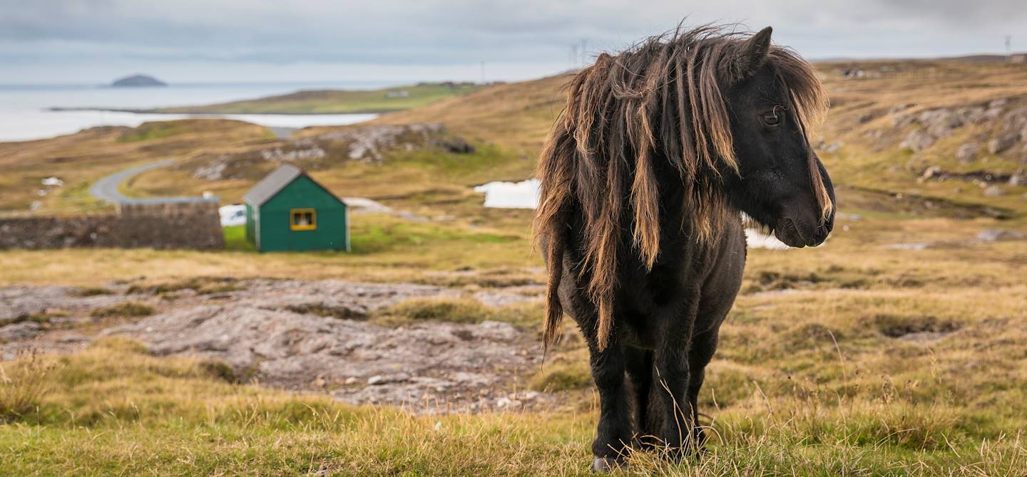 Iles Shetland - Ecosse - Royaume-Uni