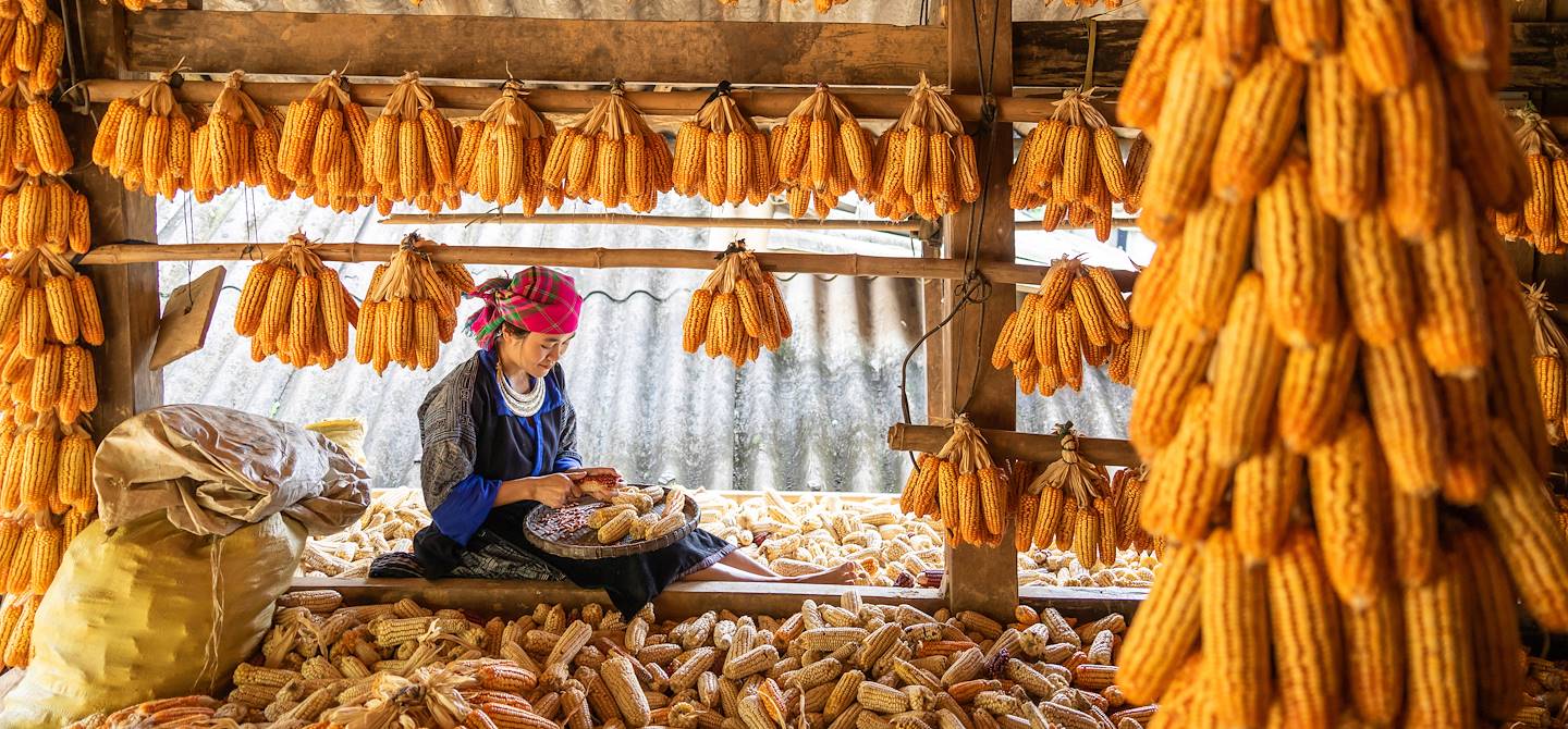 Scène de vie dans le village hmong Cacao - Guyane