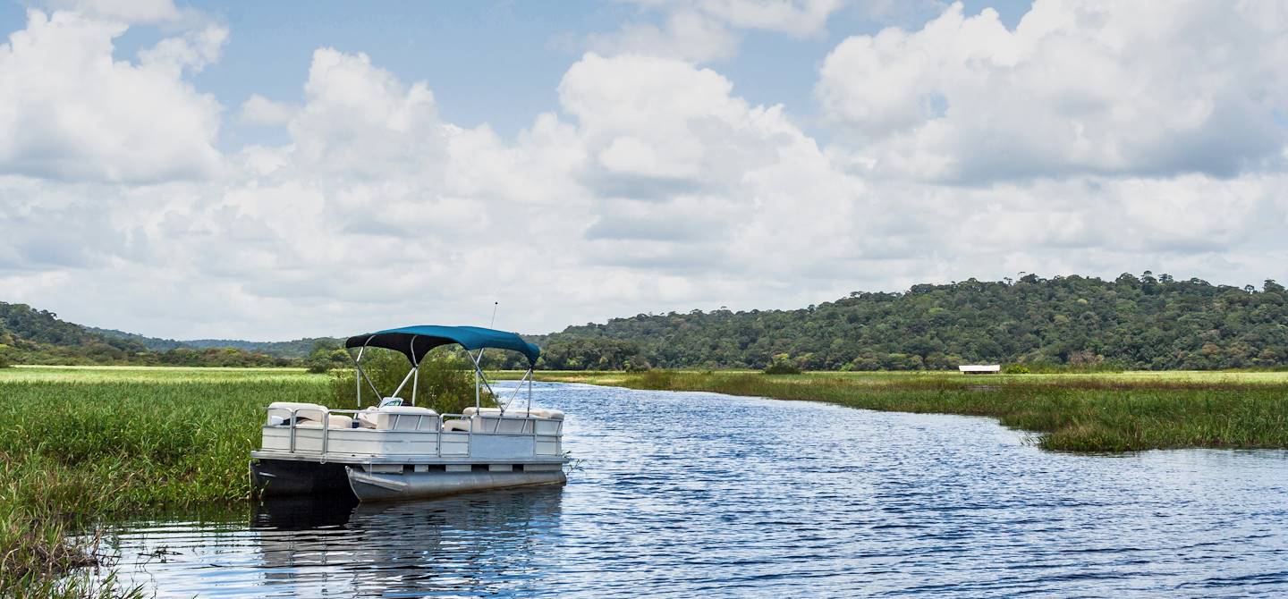 Marais de Kaw   Guyane