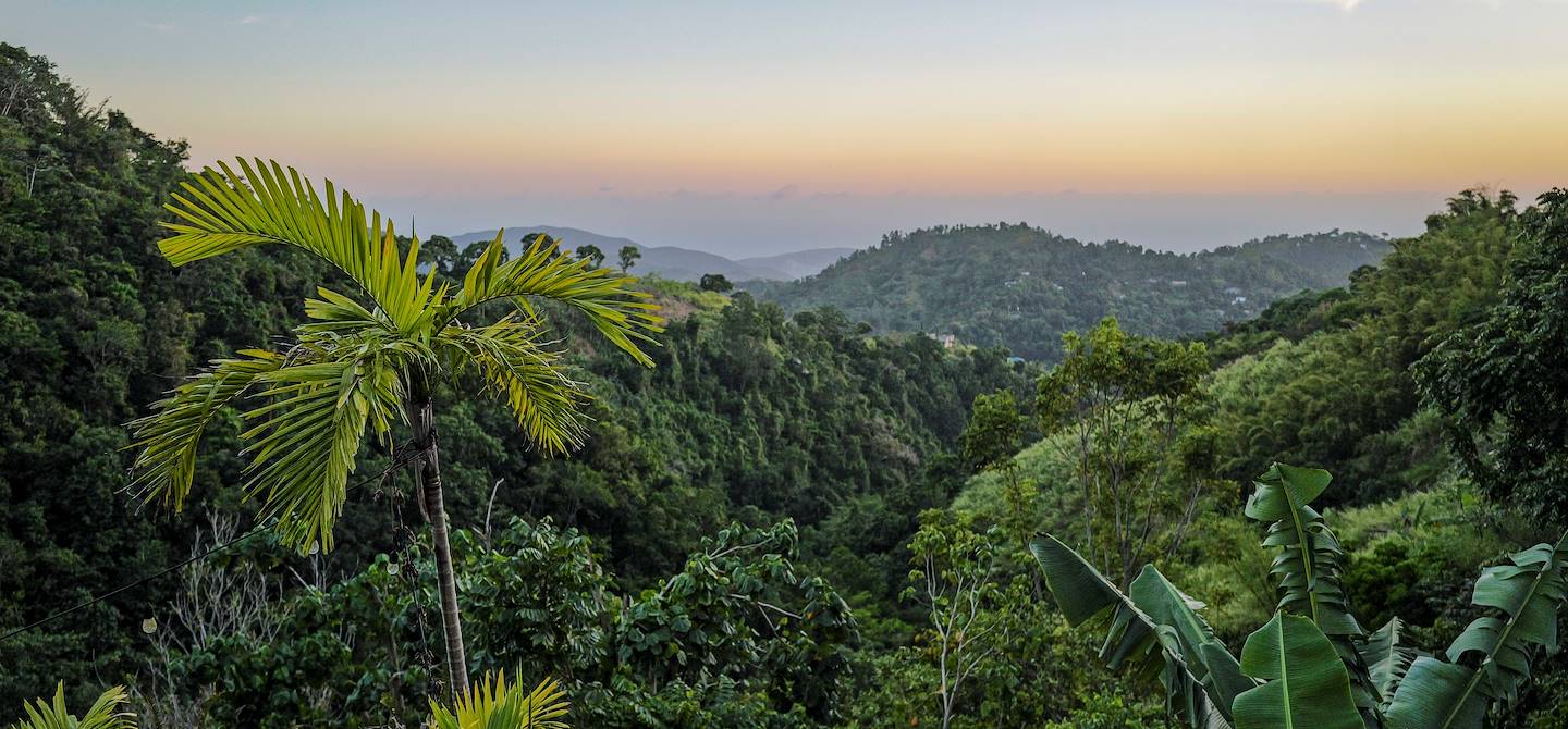 Blue Mountains - Portland - Jamaïque