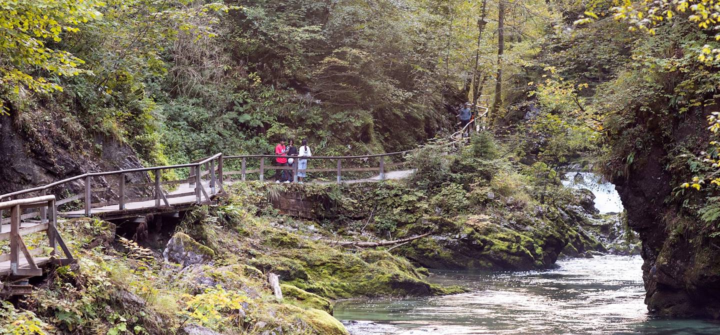 Gorges de Vintgar - Parc national du Triglav - Haute-Carniole - Slovénie