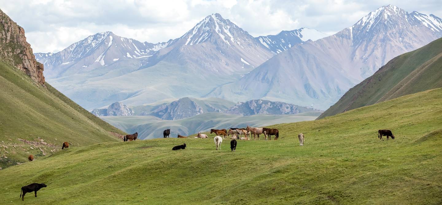 Parc national Chon Kemin - Kirghizistan