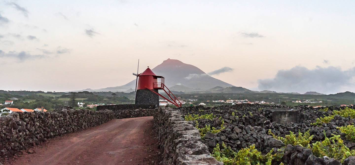 Criação Velha - Ile do Pico - Açores - Portugal