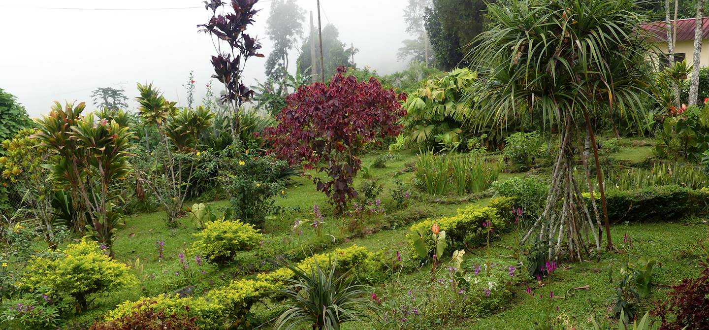 Jardin botanque de Bom Sucesso - Sao Tomé et Principe