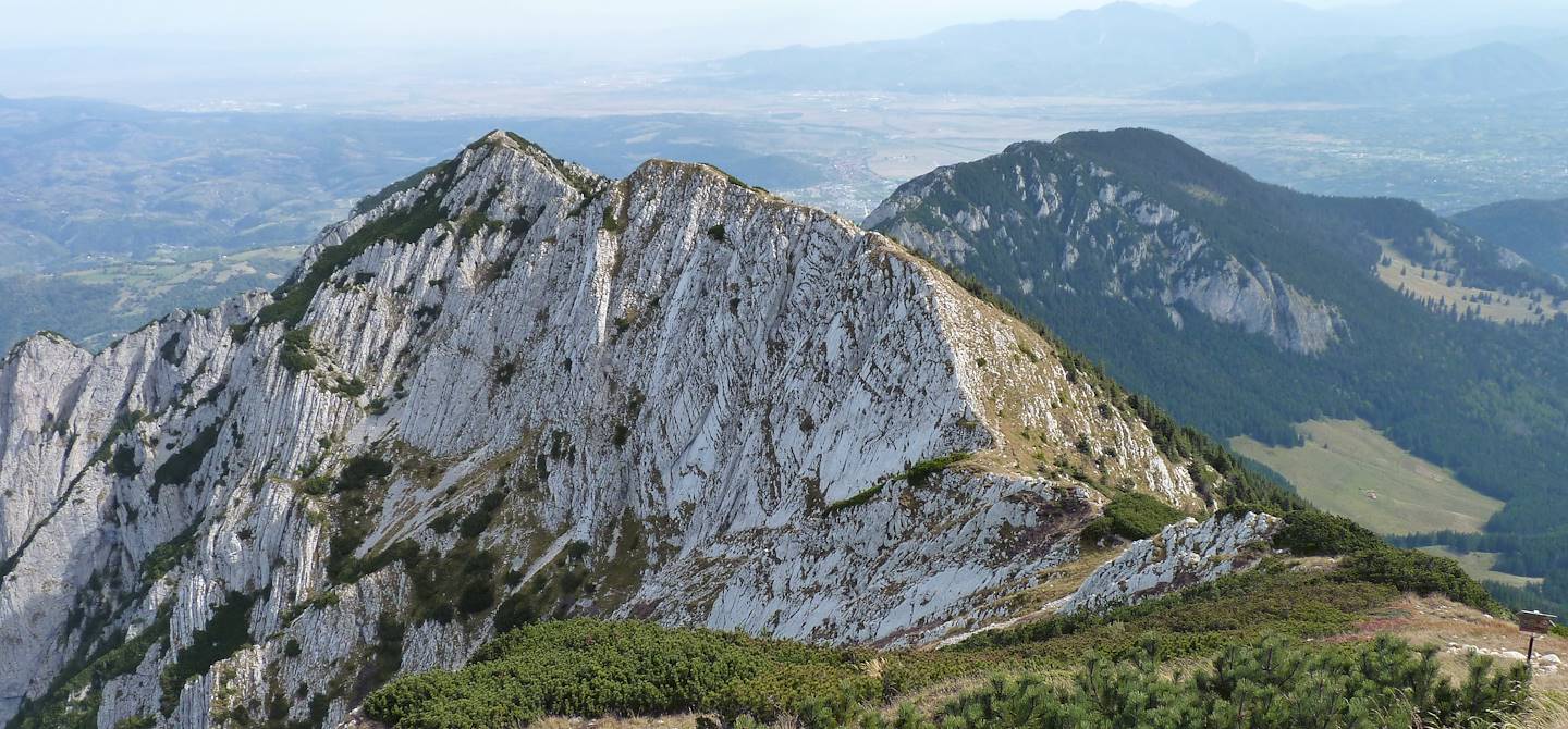 Parc national Piatra Craiului - Transylvanie - Roumanie