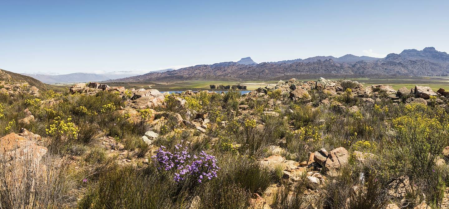 Clanwilliam - Province du Cap-Occidental - Afrique du Sud